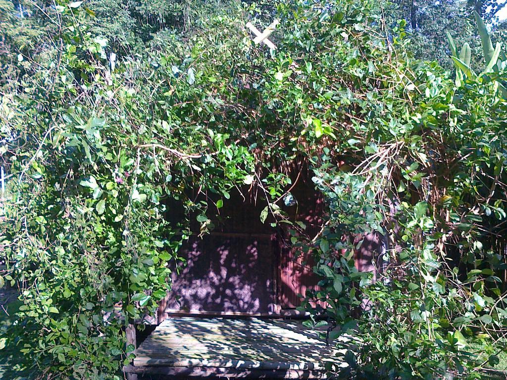 Hotel Pai Bamboo Hut Chambre photo