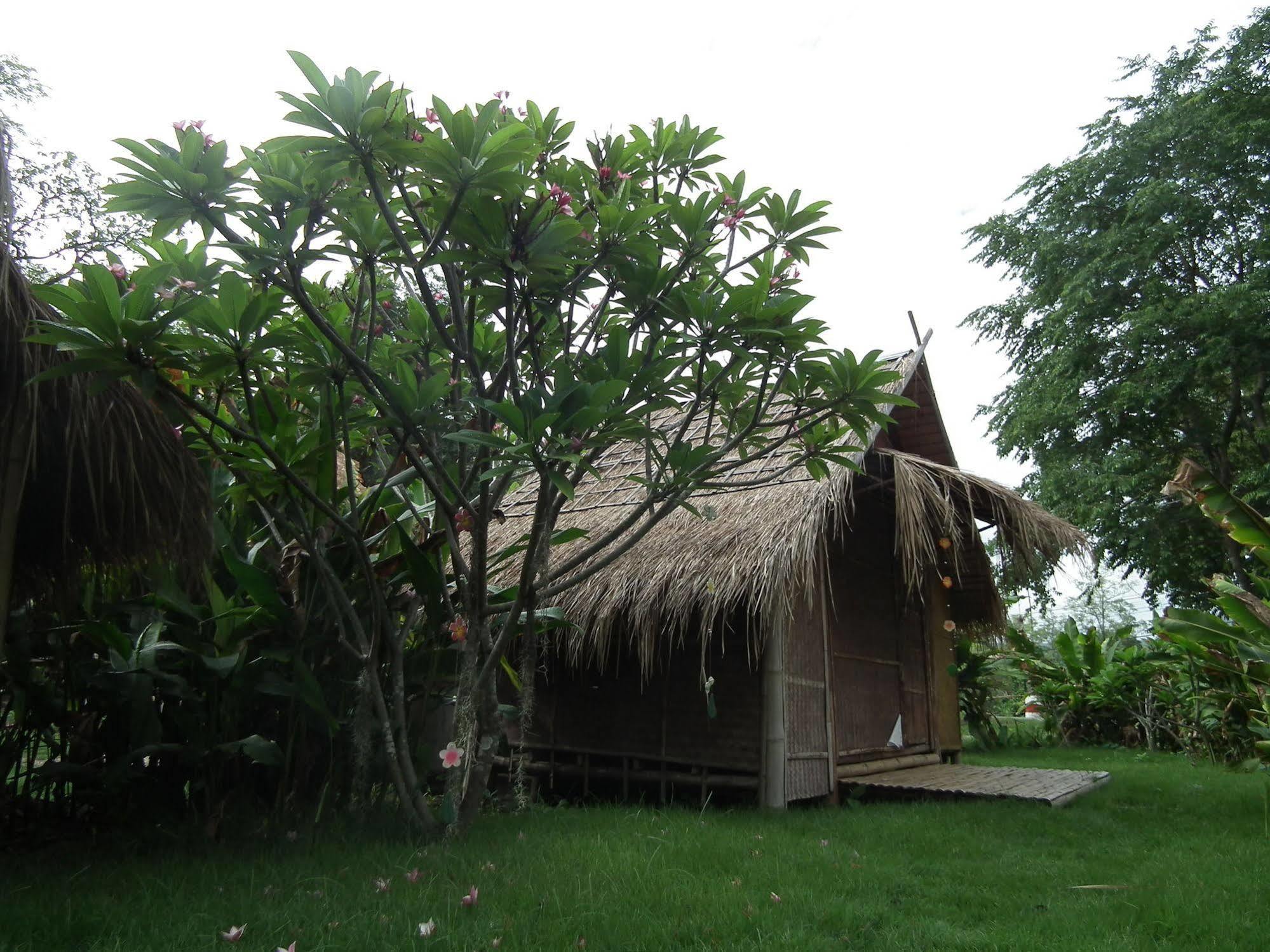 Hotel Pai Bamboo Hut Extérieur photo