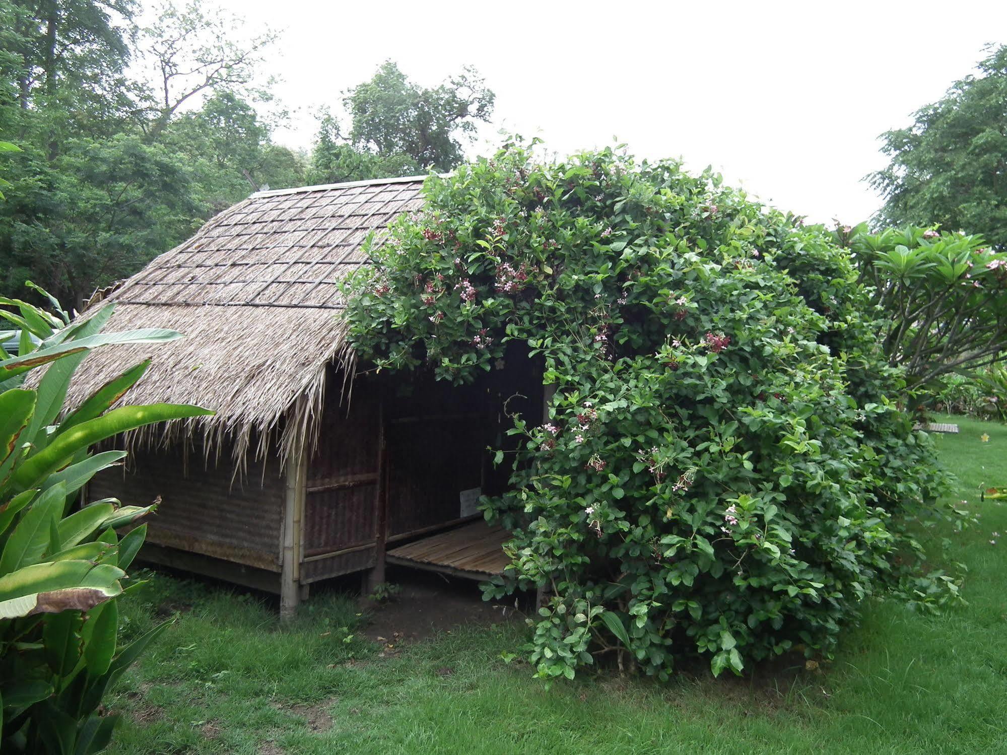 Hotel Pai Bamboo Hut Extérieur photo